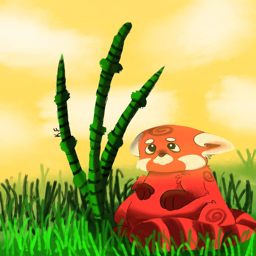 Red panda by cupbowl1817 on DeviantArt