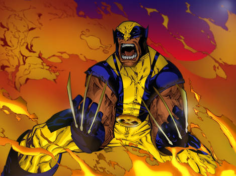 Wolverine Color