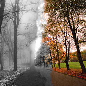 Autumn and Winter