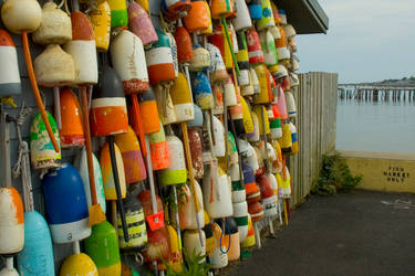 Bunch O' Buoys