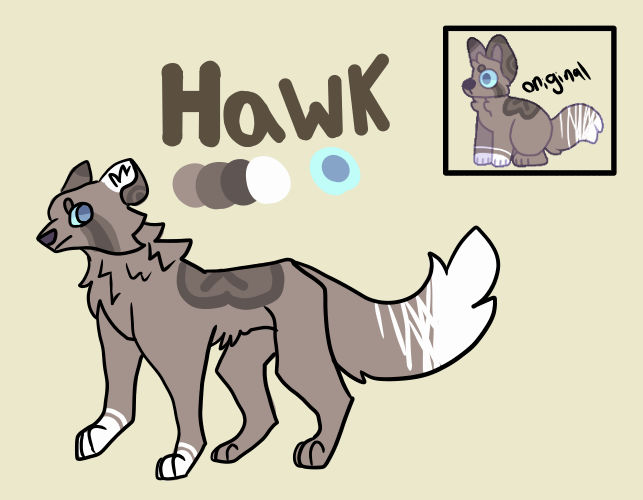 Hawk Reference Sheet by Fernaldo01 on DeviantArt