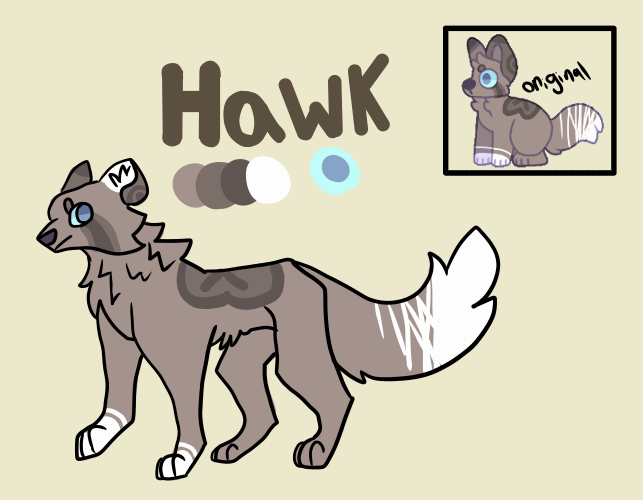 Hawk Ref Base Hawk Reference Sheet by Fernaldo01 on DeviantArt