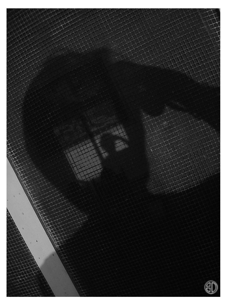 Inside Shadow Inner shadows by pinoyphoto on DeviantArt