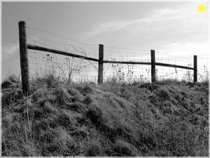 The Fence