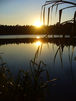 Swimming at Sunset