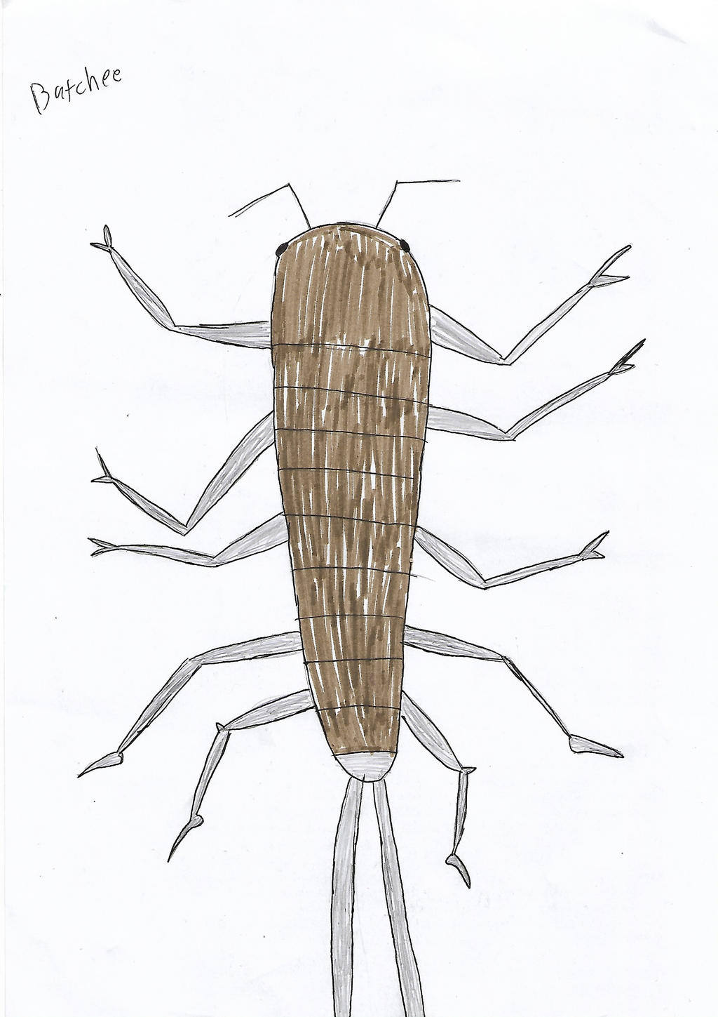 Batchee Anime Version By Ollmart On Deviantart Batchee Anime Version By Ollmart On Deviantart