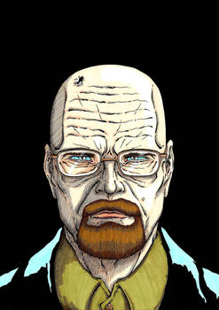 #223 Walter White (Breaking Bad)