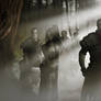 Northern Mist Walking