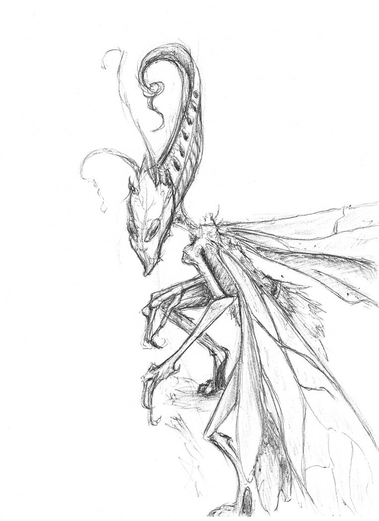 Insect Pixie by Hayley-Jean on DeviantArt