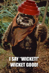 Wicket - Devo