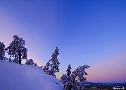 Near the summit