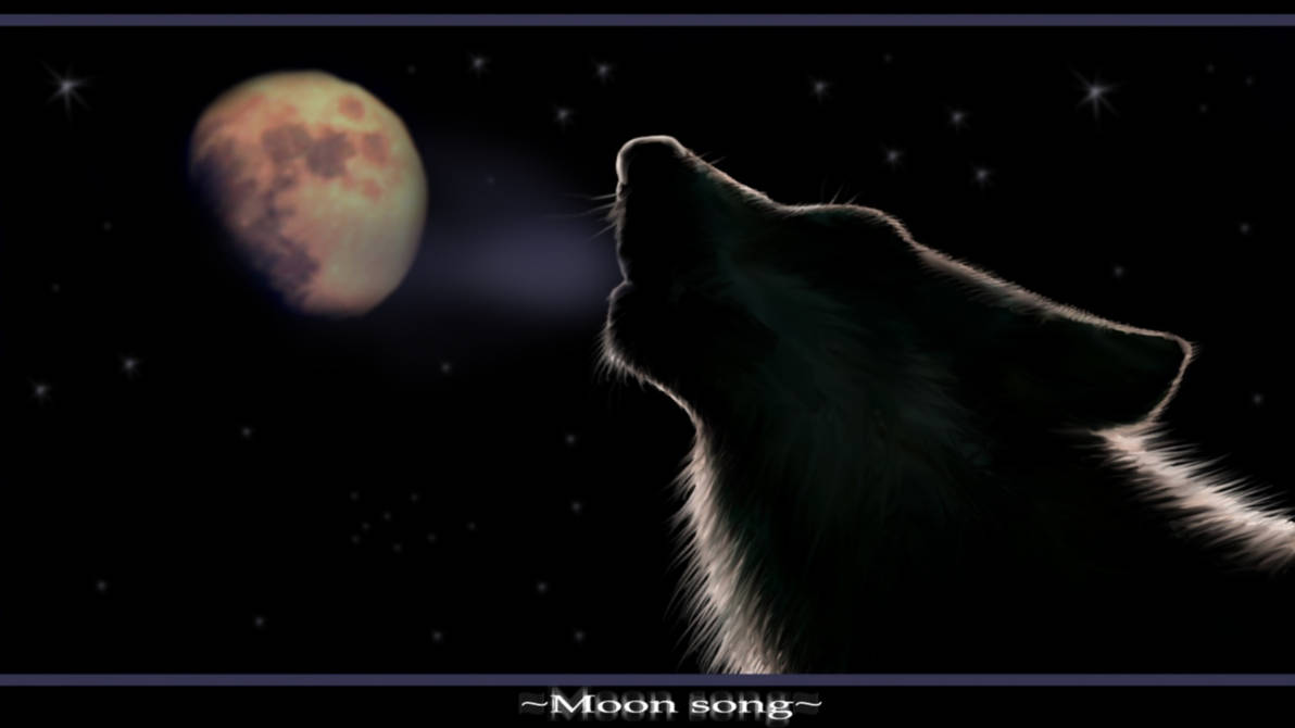 Волк пытающийся съесть луну. Волк воет на луну. Шакал воет на луну. Всемирная ночь воя на луну. Черный волк воет на луну.