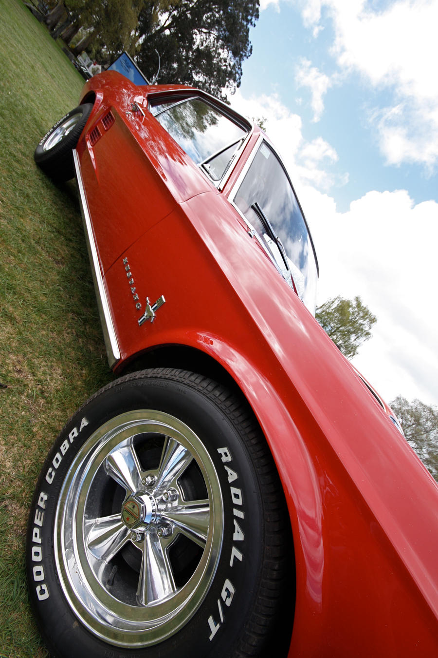 Red Mustang