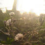 Micro Nature