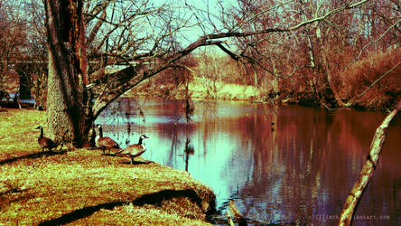 the river by our home