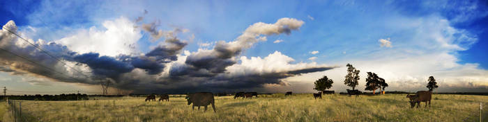 Cows and Clouds by EdIsOnFire