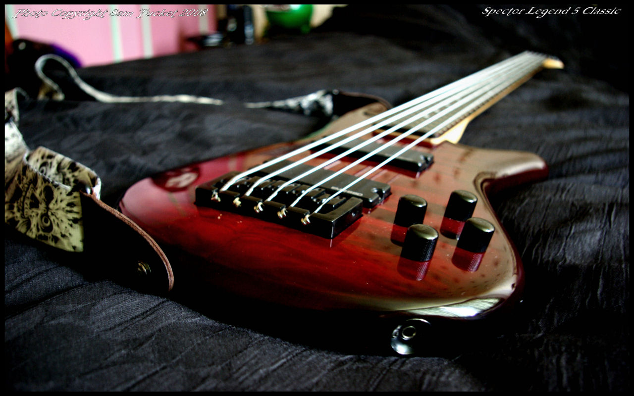 Spector Bass - 1280x800