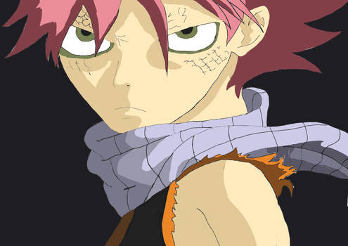 Natsu Dragneel Fan Art