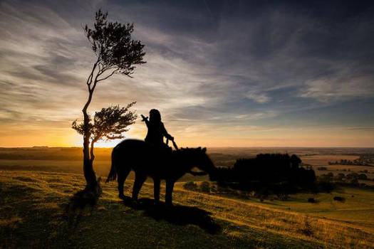 Knight on a horse in the sunset