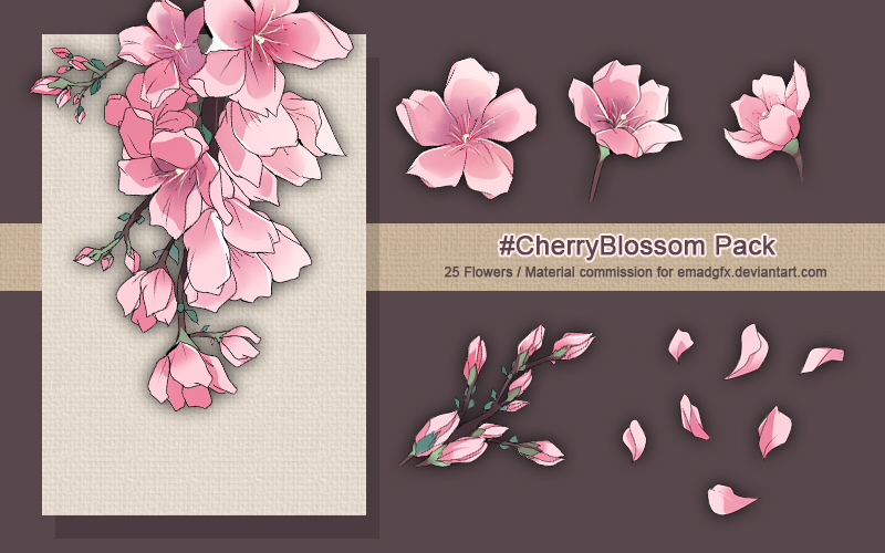 [NC: 01] CherryBlossom Pack