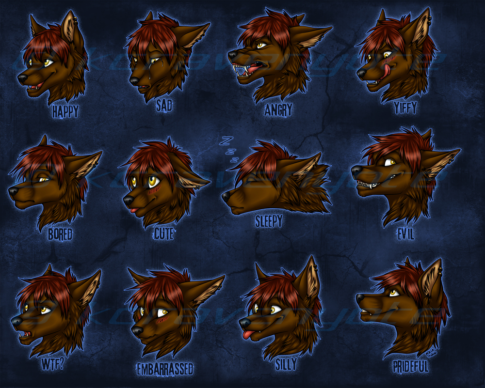 Conner Expression Sheet Comm