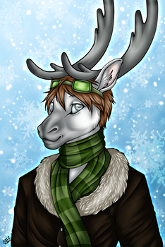 Dominic - Winter Bust Commish