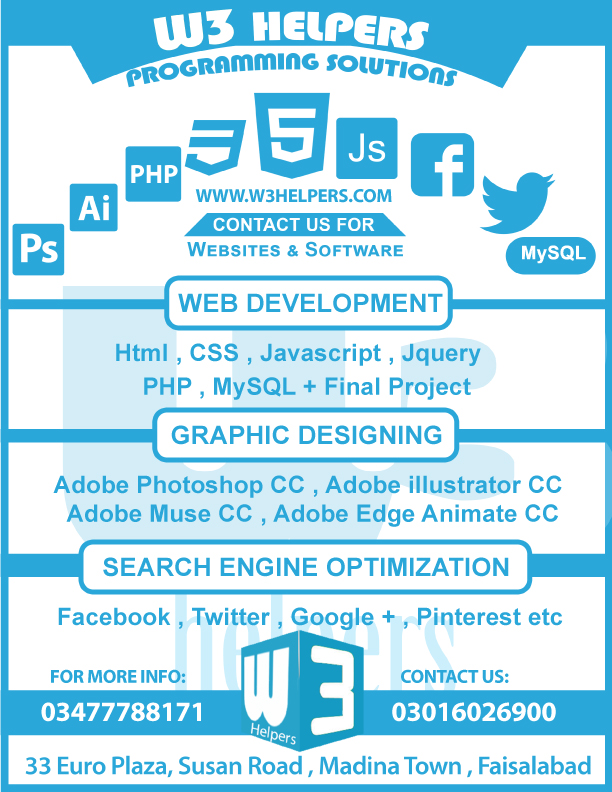 W3Helpers Programming Solutions 2-Color-Flyer