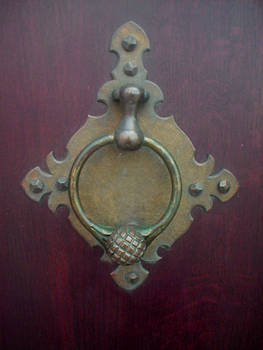 Door knocker