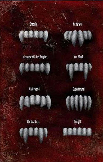 Vampire Fang Types by Angel-Tyler on DeviantArt