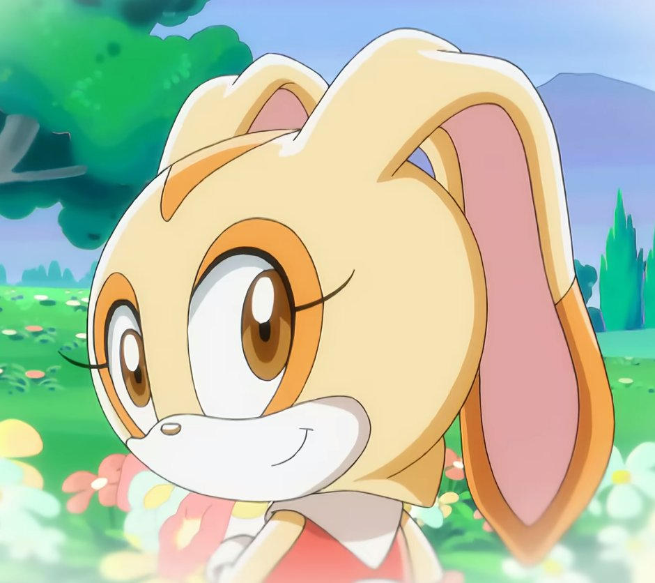 Cream The Rabbit Behind Back Cream The Rabbit by PlatinumNeoNillious on DeviantArt