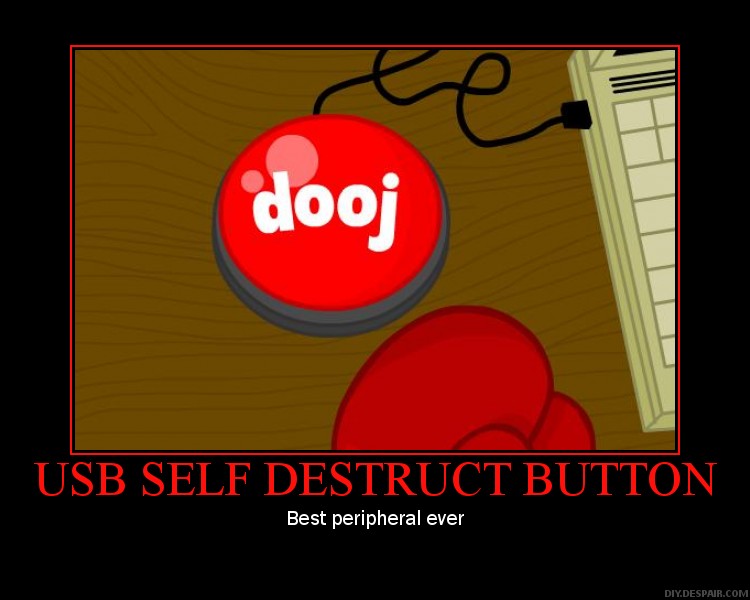 USB Self Destruct Demotivator