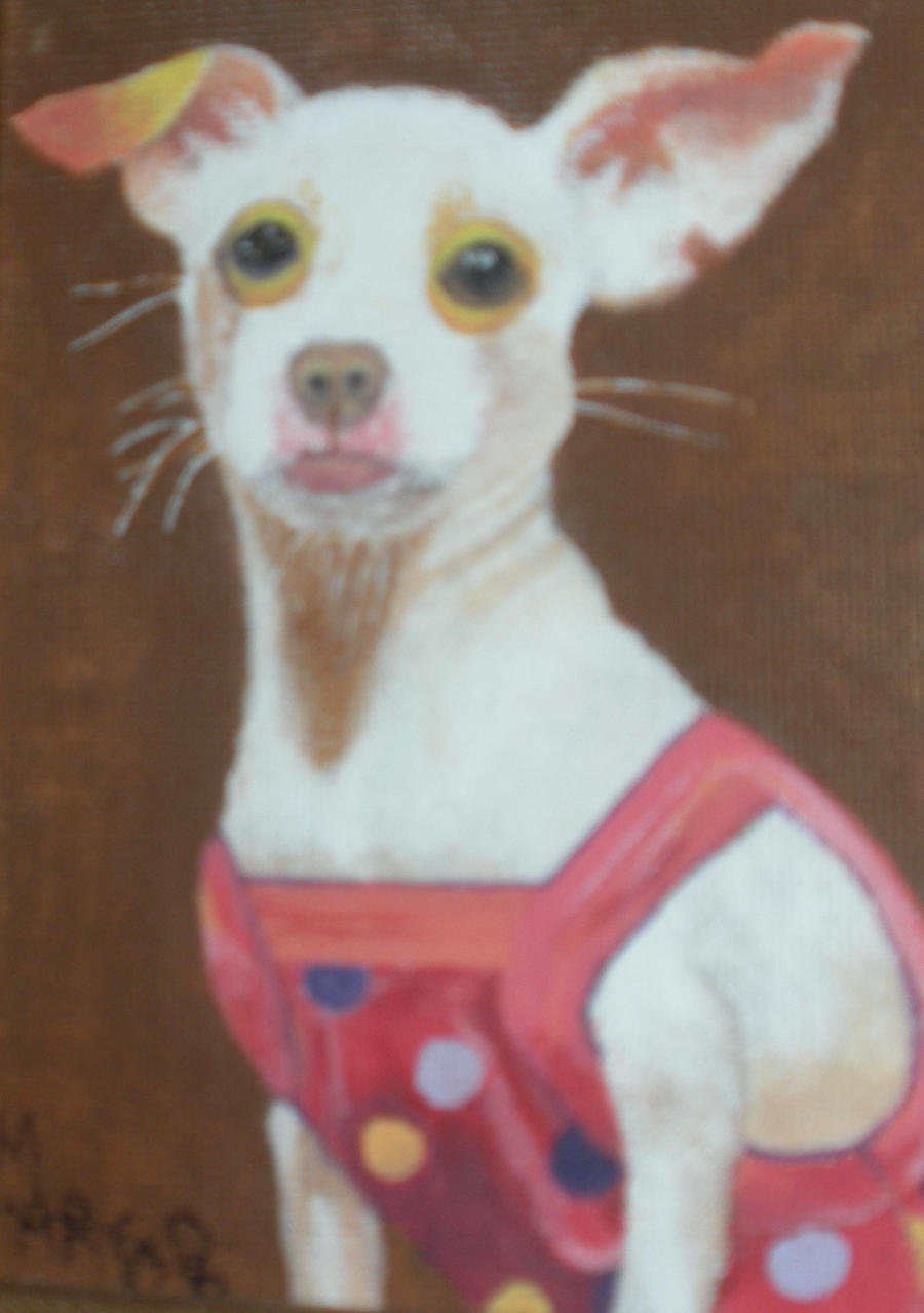 Chihuahua in Dress