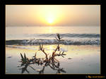 sunrise on ALkhobar city by the-sweet-lemon