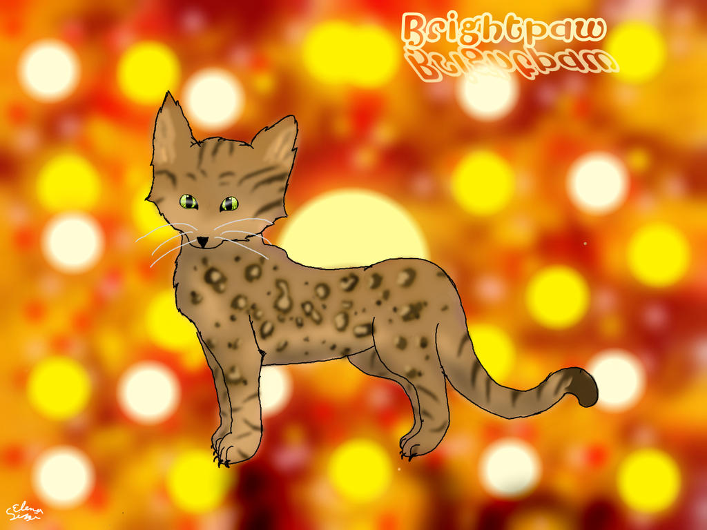 Kip tekent al te lang en te veel dingen van Warrior cats Brightpaw_by_xxmindoxx_d5ycnpn-fullview.jpg?token=eyJ0eXAiOiJKV1QiLCJhbGciOiJIUzI1NiJ9.eyJzdWIiOiJ1cm46YXBwOjdlMGQxODg5ODIyNjQzNzNhNWYwZDQxNWVhMGQyNmUwIiwiaXNzIjoidXJuOmFwcDo3ZTBkMTg4OTgyMjY0MzczYTVmMGQ0MTVlYTBkMjZlMCIsIm9iaiI6W1t7ImhlaWdodCI6Ijw9NzY4IiwicGF0aCI6IlwvZlwvMTQwN2QxYmEtMWJhMy00YjU2LWE0NjctZjkzMzA0MDRjZjZlXC9kNXljbnBuLWUwZjQyZDNhLTViY2ItNGM5ZC1iODM4LWFhZDNhMDc4MGFhMS5qcGciLCJ3aWR0aCI6Ijw9MTAyNCJ9XV0sImF1ZCI6WyJ1cm46c2VydmljZTppbWFnZS5vcGVyYXRpb25zIl19