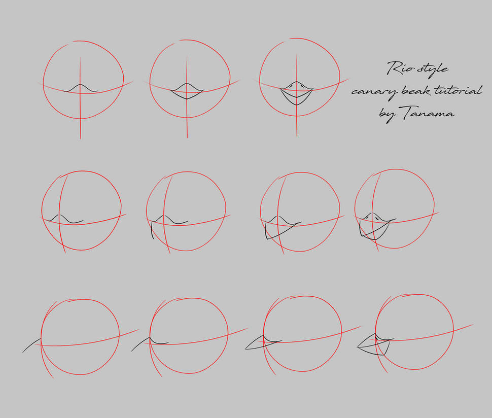 Beak Designs Beak Tutorial by Tanamalioness on DeviantArt
