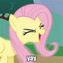 MLP Fluttershy