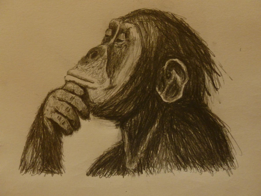 Smart Monkey by Ben3418 Smart Monkey by Ben3418