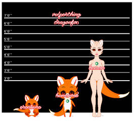 Vulperthing Dragonfox Size Reference Sheet