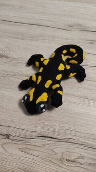 Salamander