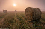Foggy Field by topperGfx