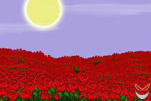 Field of Roses