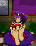 Shantae Feet