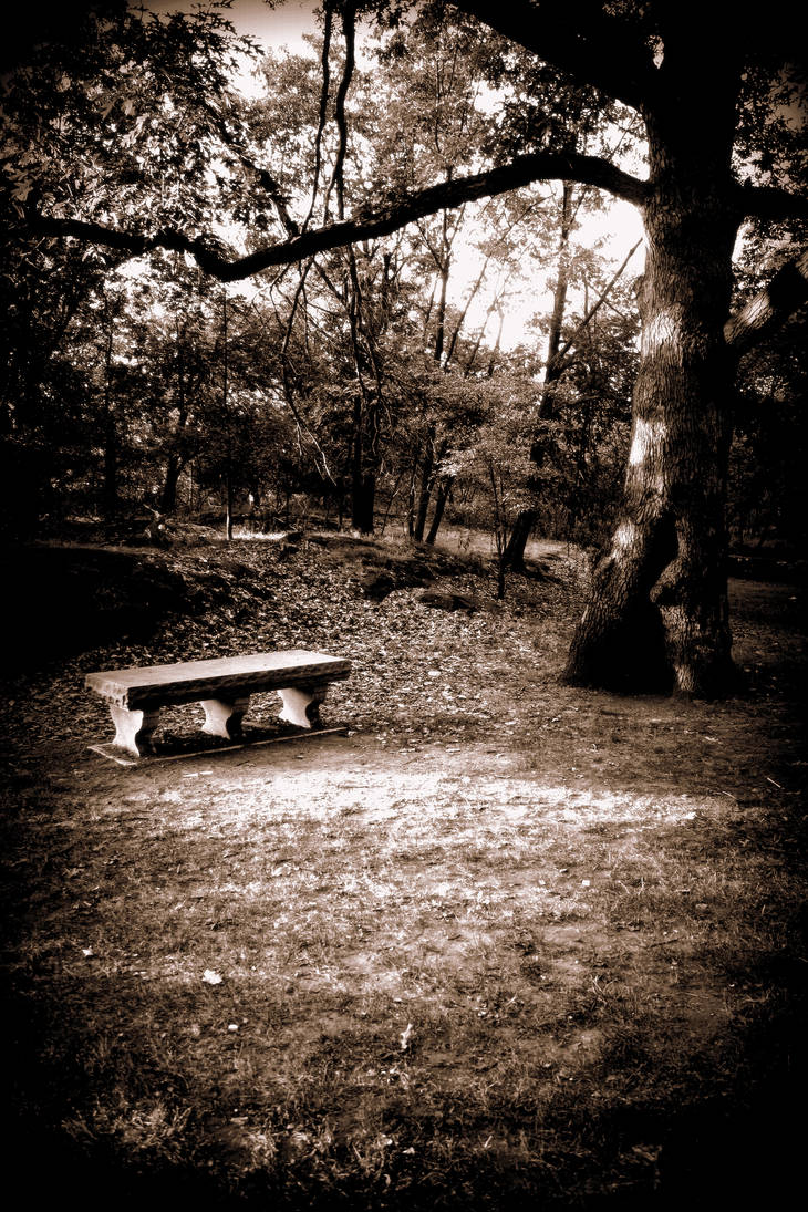and that forgotten bench... by Afriell on DeviantArt