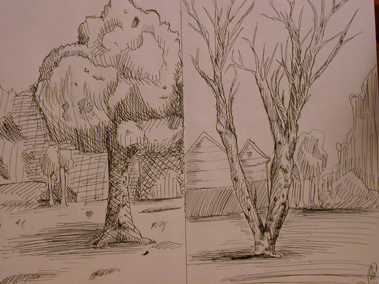 Crosshatched Trees