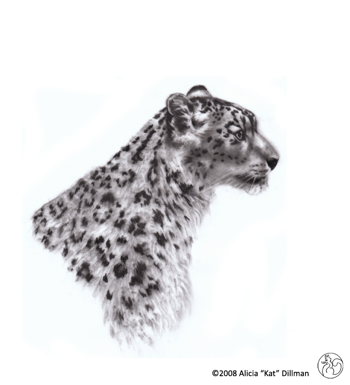 Snow Leopard 1