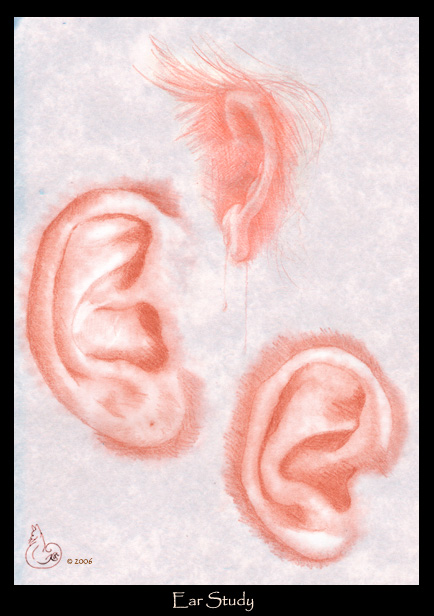 Ear Study