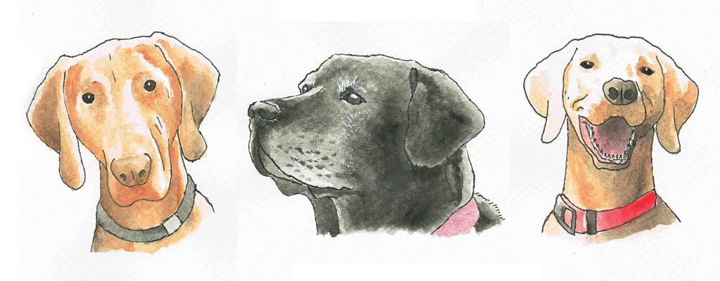 Watercolor dogs