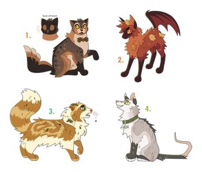Warrior Cat Adopts 14: Nocturnal CLOSED