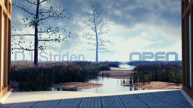 DJ Striden - Open