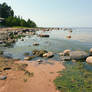 rocky seashore III